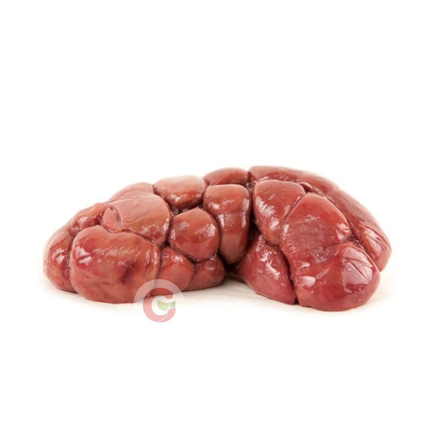 Beef Kidney