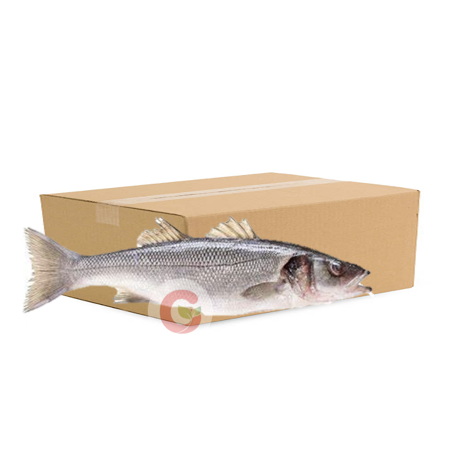 Whiting Box 16Kg