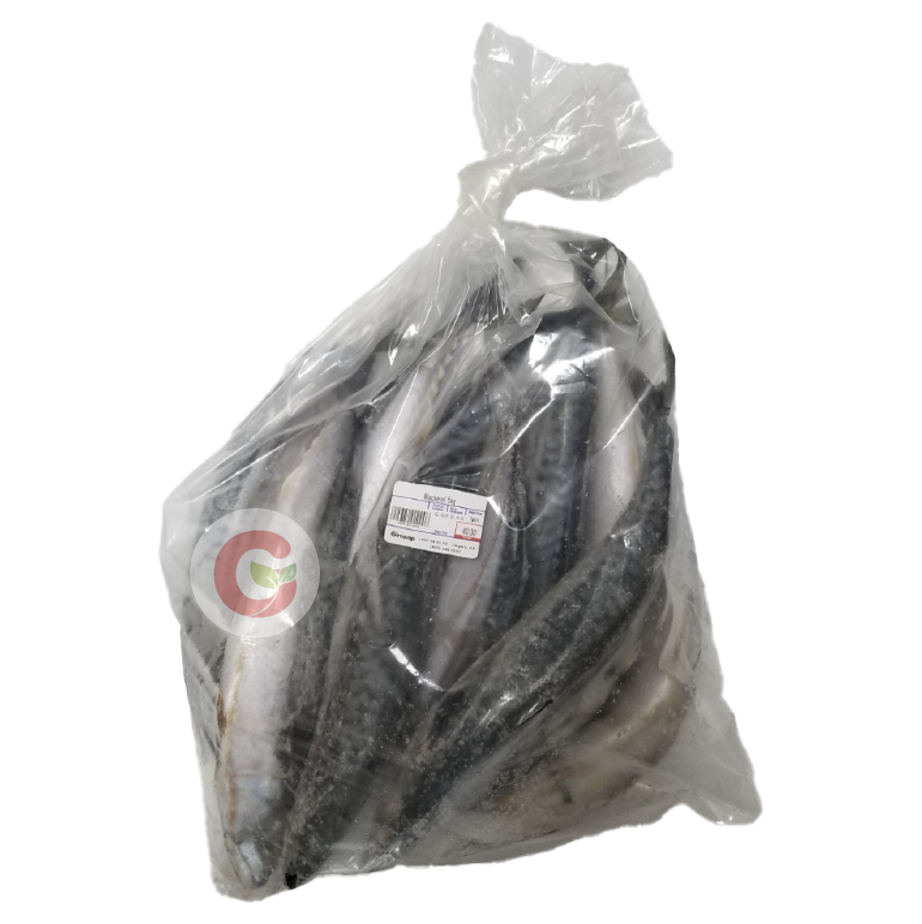 [2698] Horse Mackerel (10kg (packed))